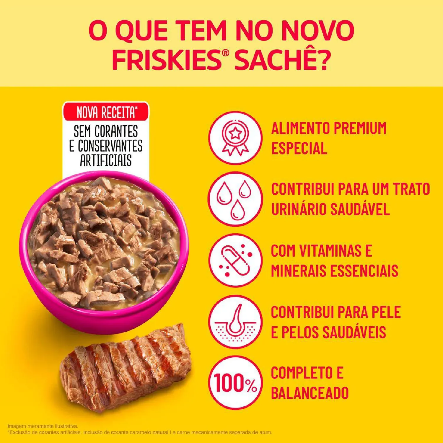 Racao Umida Friskies Gatos Adultos beneficios-08